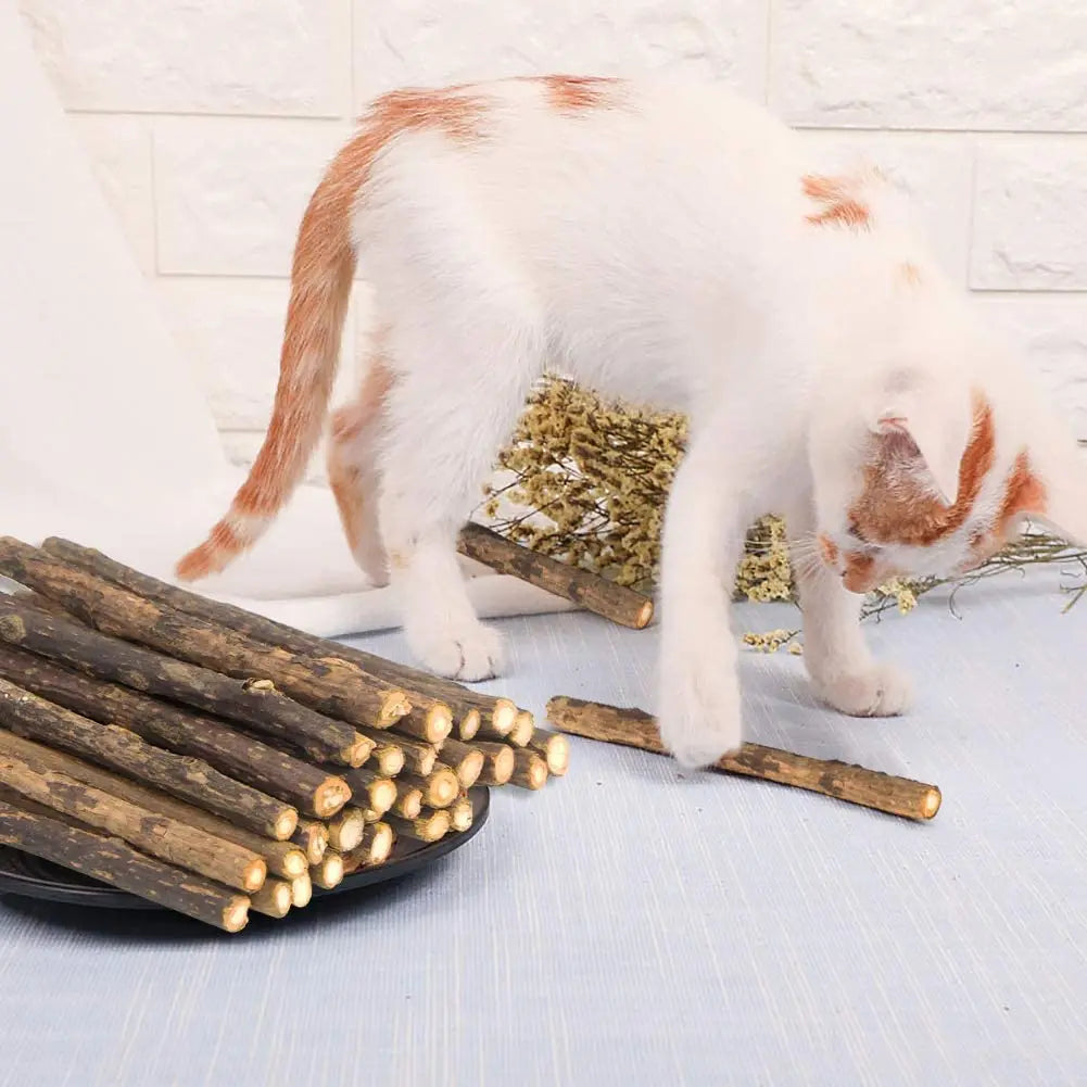 Palitos masticables para la limpieza dental de gatitos. Elaborados con matatabi, plantas naturales que ayudan a la salud bucodental.