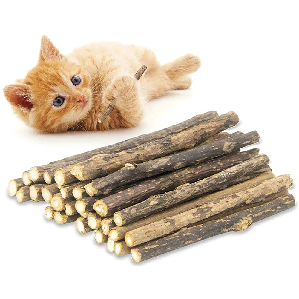 Palitos masticables para la limpieza dental de gatitos. Elaborados con matatabi, plantas naturales que ayudan a la salud bucodental.