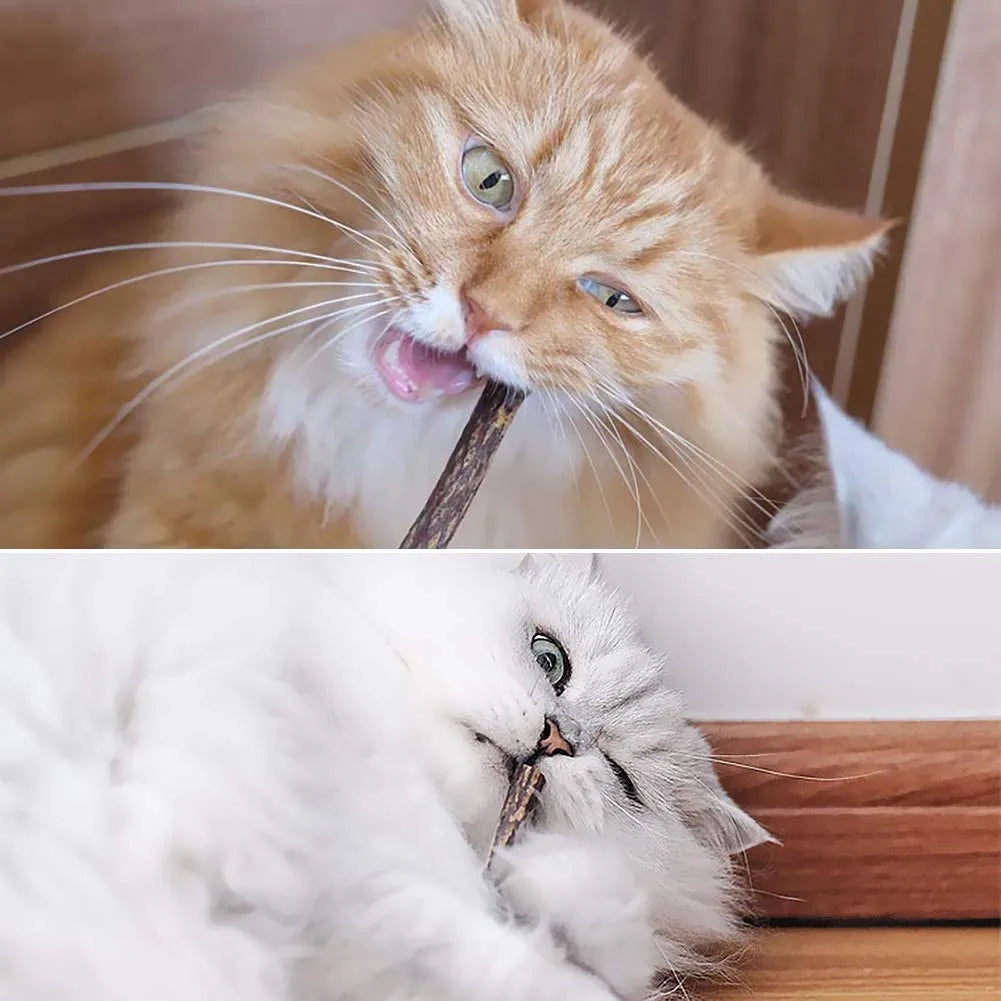 Palitos masticables para la limpieza dental de gatitos. Elaborados con matatabi, plantas naturales que ayudan a la salud bucodental.