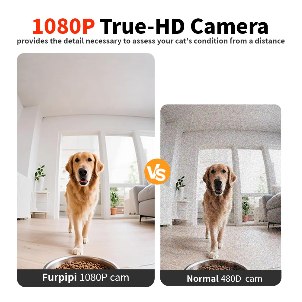 Comedero automático para perros y gatos de 8 litros con cámara de vídeo 1080p y WiFi 5G. Administra las comidas de tu mascota.