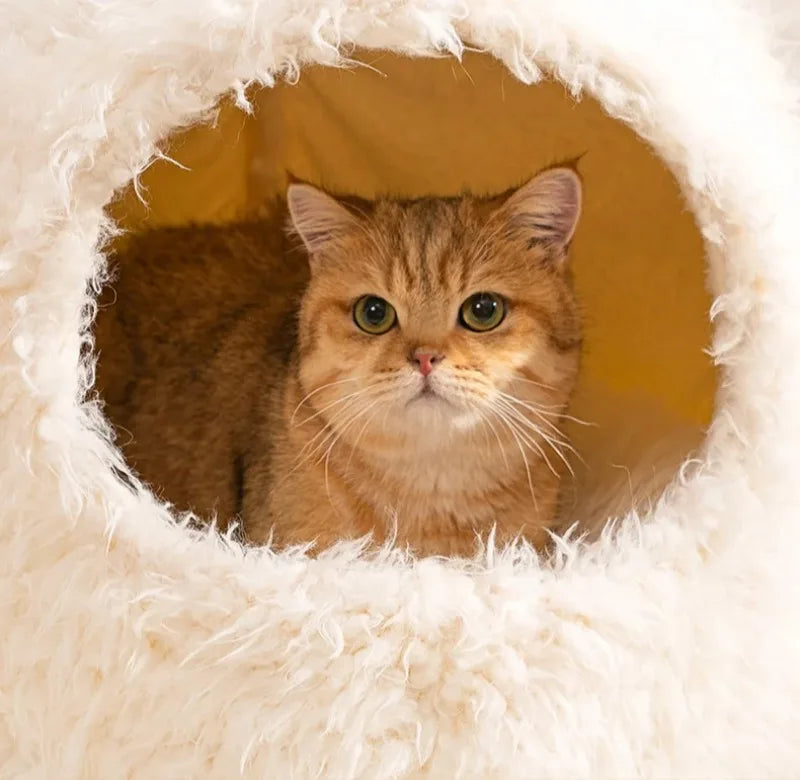 Cama antiestrés tipo cueva. Los gatos necesitan espacios cerrados para sentirse seguros, esta cama recrea ese entorno natural.