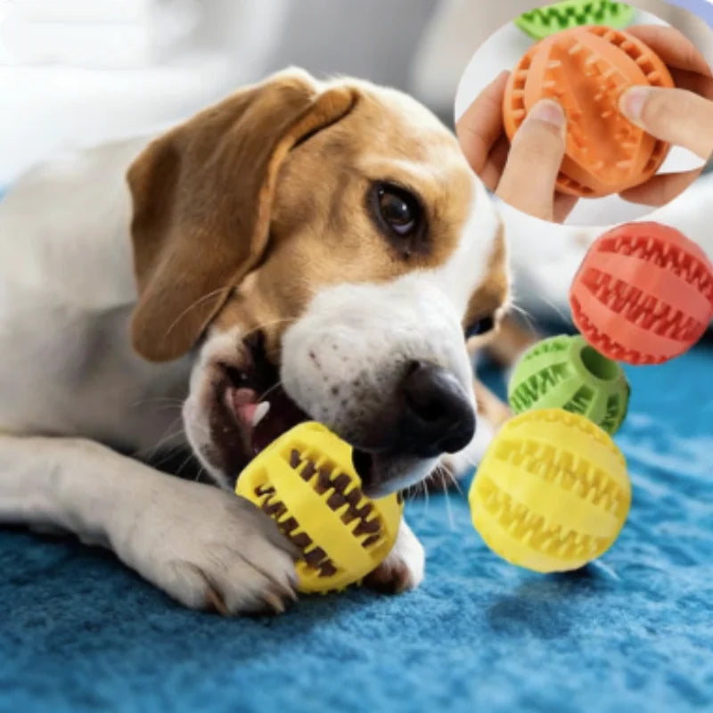 Pelota interactiva de goma para prevenir el sarro. Ideal para perros pequeños y medianos.