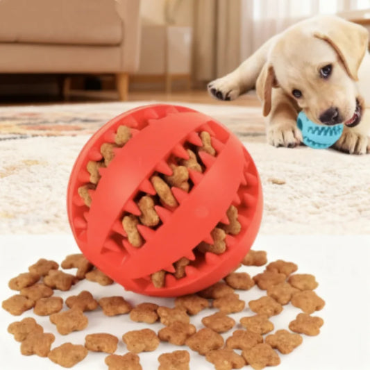 Pelota interactiva de goma para prevenir el sarro. Ideal para perros pequeños y medianos.
