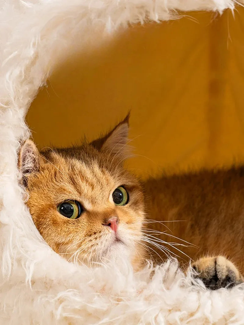 Cama antiestrés tipo cueva. Los gatos necesitan espacios cerrados para sentirse seguros, esta cama recrea ese entorno natural.