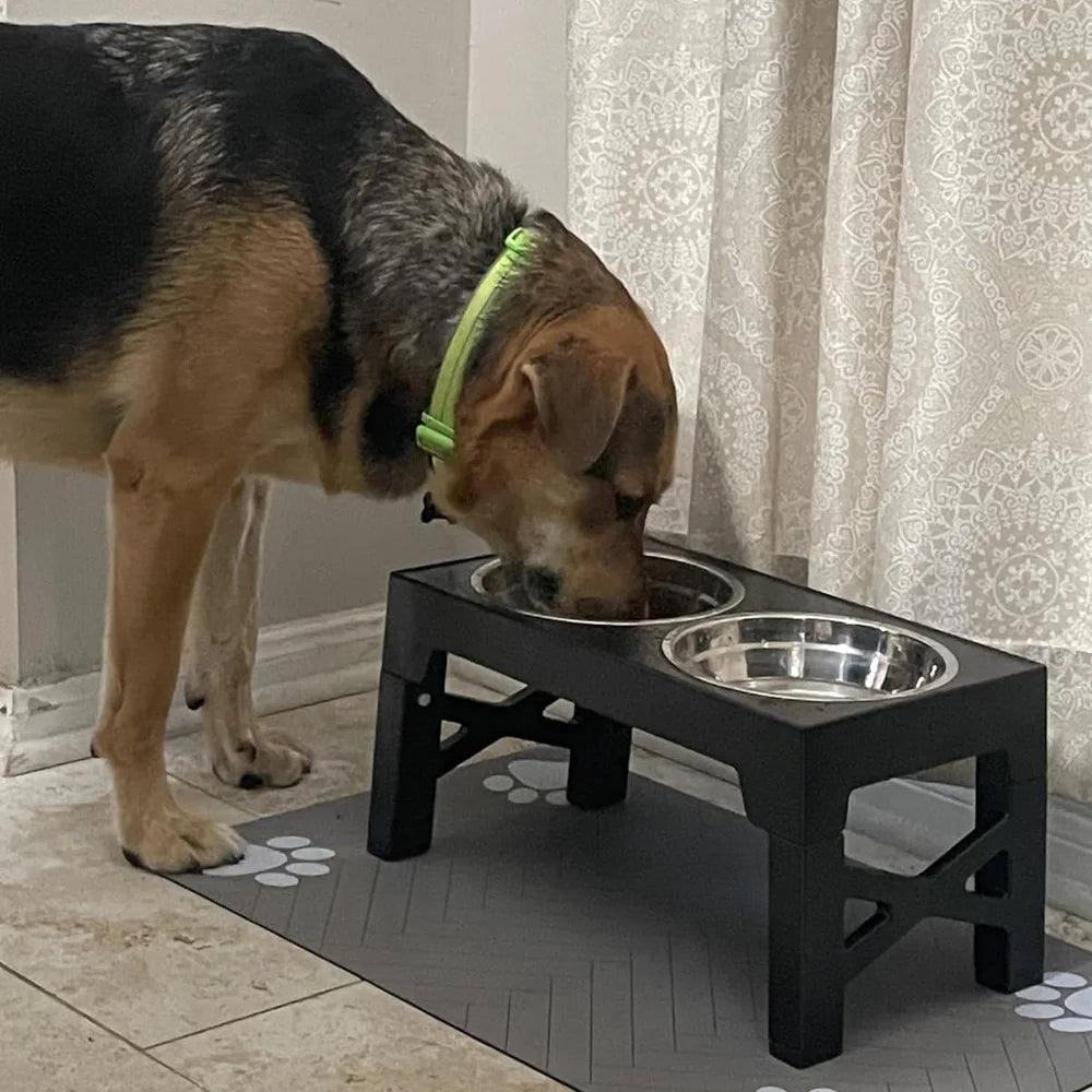 Comedero elevado para perros con soporte ajustable. Mejora la salud articular y la digestión de tu mascota.