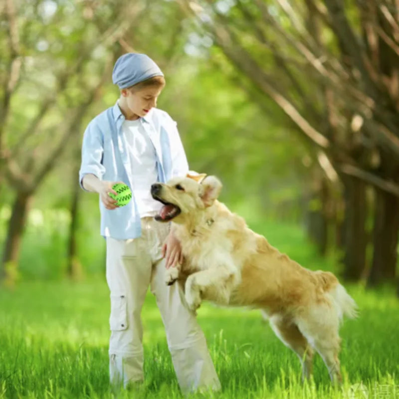 Pelota interactiva de goma para prevenir el sarro. Ideal para perros pequeños y medianos.