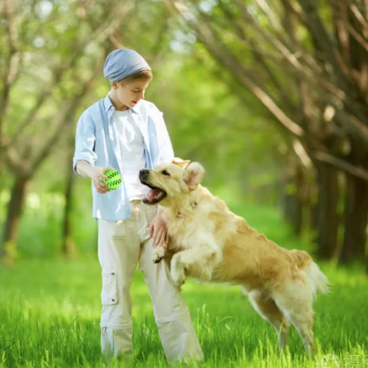 Pelota interactiva de goma para prevenir el sarro. Ideal para perros pequeños y medianos.