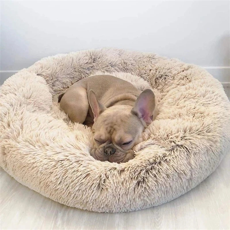 Cama antiestrés tipo donut. Reduce el estrés por su efecto abrazo y mejora el descanso desde el primer uso.